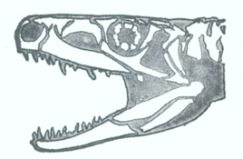 Postosuchus