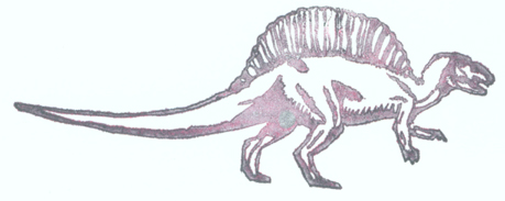 spinosaur profile