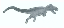 a tyrannosaur profile