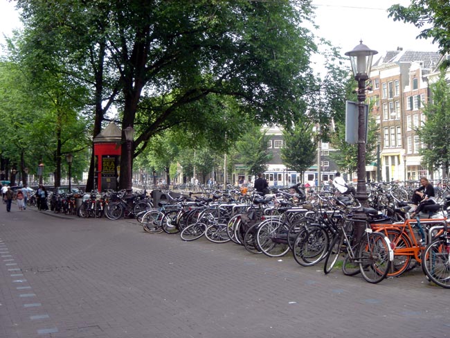 lotsa bikes!