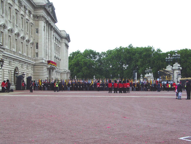 The flags