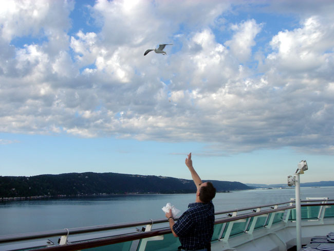 me and seagulls